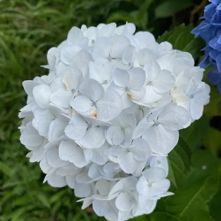 Villa Kasaboba Parres de Llanes
