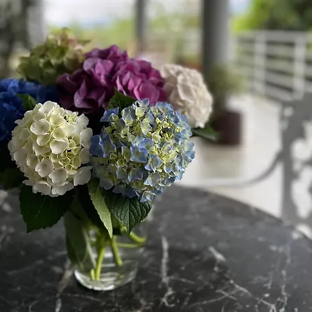 Kasaboba Villa Parres de Llanes