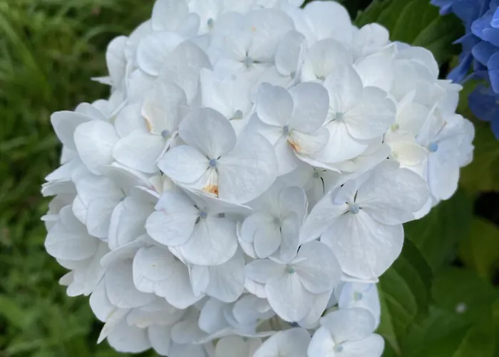 Villa Kasaboba Parres de Llanes