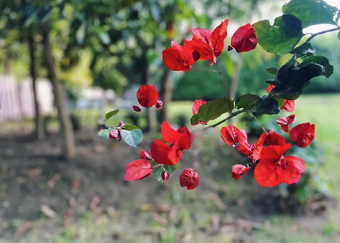 Kasaboba Villa Parres de Llanes